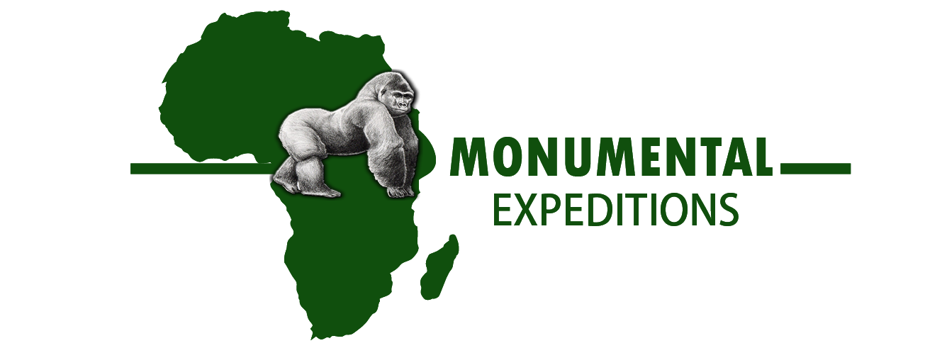 Monumental Gorilla Tours & Safaris