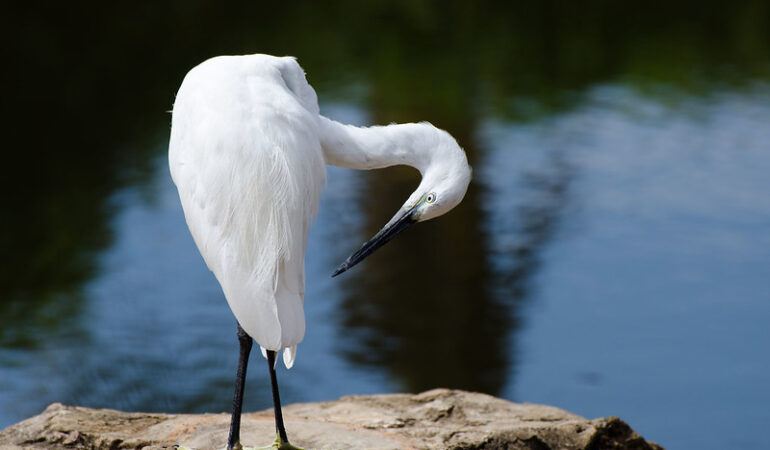 A Guide to Exploring Uganda’s Lakes: Must-Visit Spots